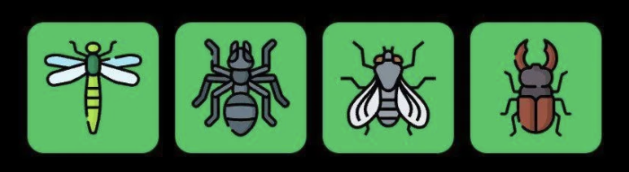 FLIES Daily Combo 17 June 2025